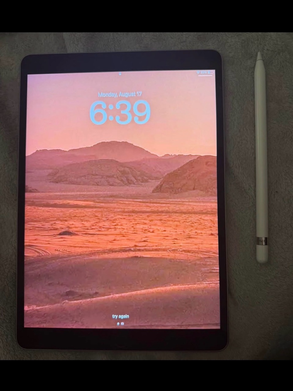 ✨📱Apple iPad with White Apple Pencil📱✨